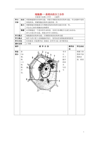 高中生物 第三章 细胞的基本结构 第二节 细胞器——系统内的分工合作学案 新人教版必修1-新人教版高一必修1生物学案