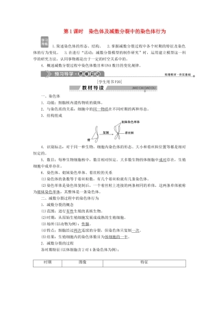 高中生物 第二章 染色体与遗传 第一节 减数分裂中的染色体行为 第1课时 染色体及减数分裂中的染色体行为学案 浙科版必修2-浙科版高一必修2生物学案