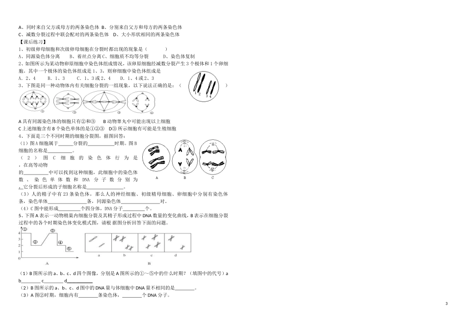 高中生物：减数分裂和受精作用导学案新人教版必修2_第3页