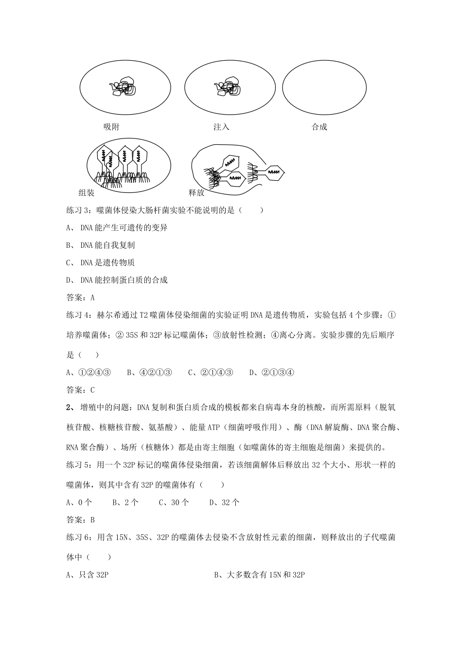 高中生物 第一册 第3章 生命的结构基础 3.3 非细胞形态的生物——病毒学案（1）沪科版-沪科版高一第一册生物学案_第2页