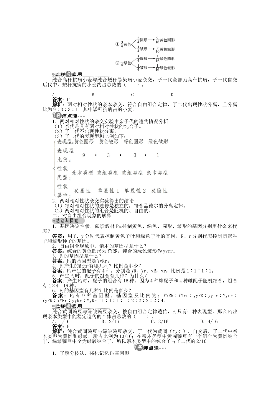 高中生物 第一章 第二节 自由组合定律 第一课时学案 浙科版必修2-浙科版高中必修2生物学案_第3页