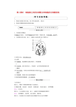 高中生物 第三章 细胞的基本结构 第2节 第2课时 细胞器之间的协调配合和细胞的生物膜系统学案 新人教版必修1-新人教版高一必修1生物学案