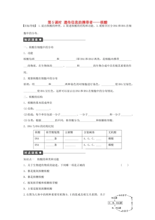 高中生物 第二章 组成细胞的分子 第5课时 遗传信息的携带者 核酸课时作业 新人教版必修1-新人教版高一必修1生物学案