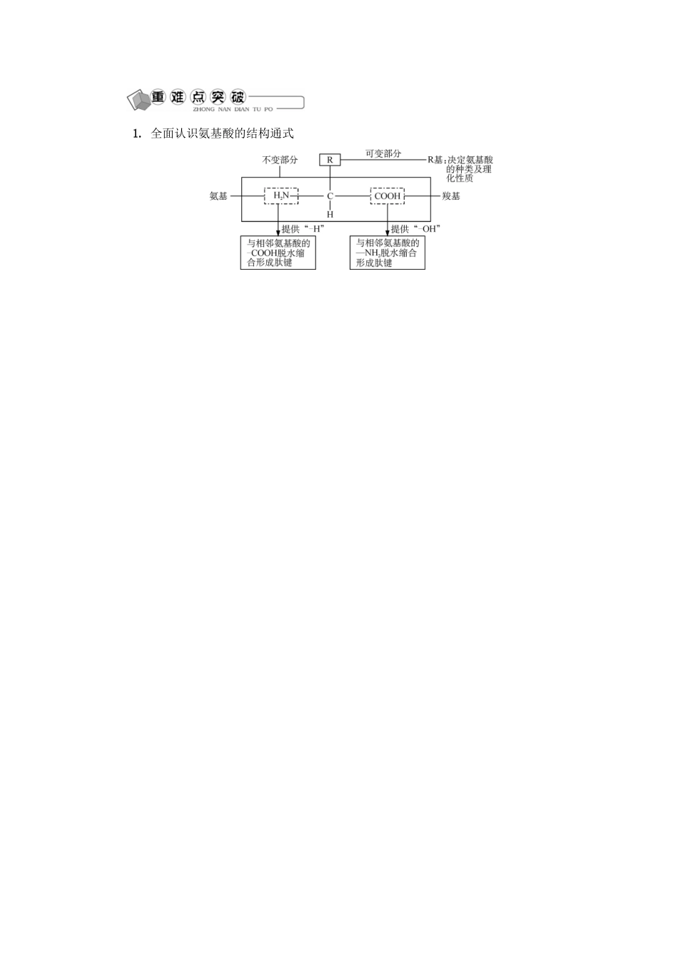 高中生物 第二讲 蛋白质与核酸学案 苏教版必修1-苏教版高二必修1生物学案_第2页