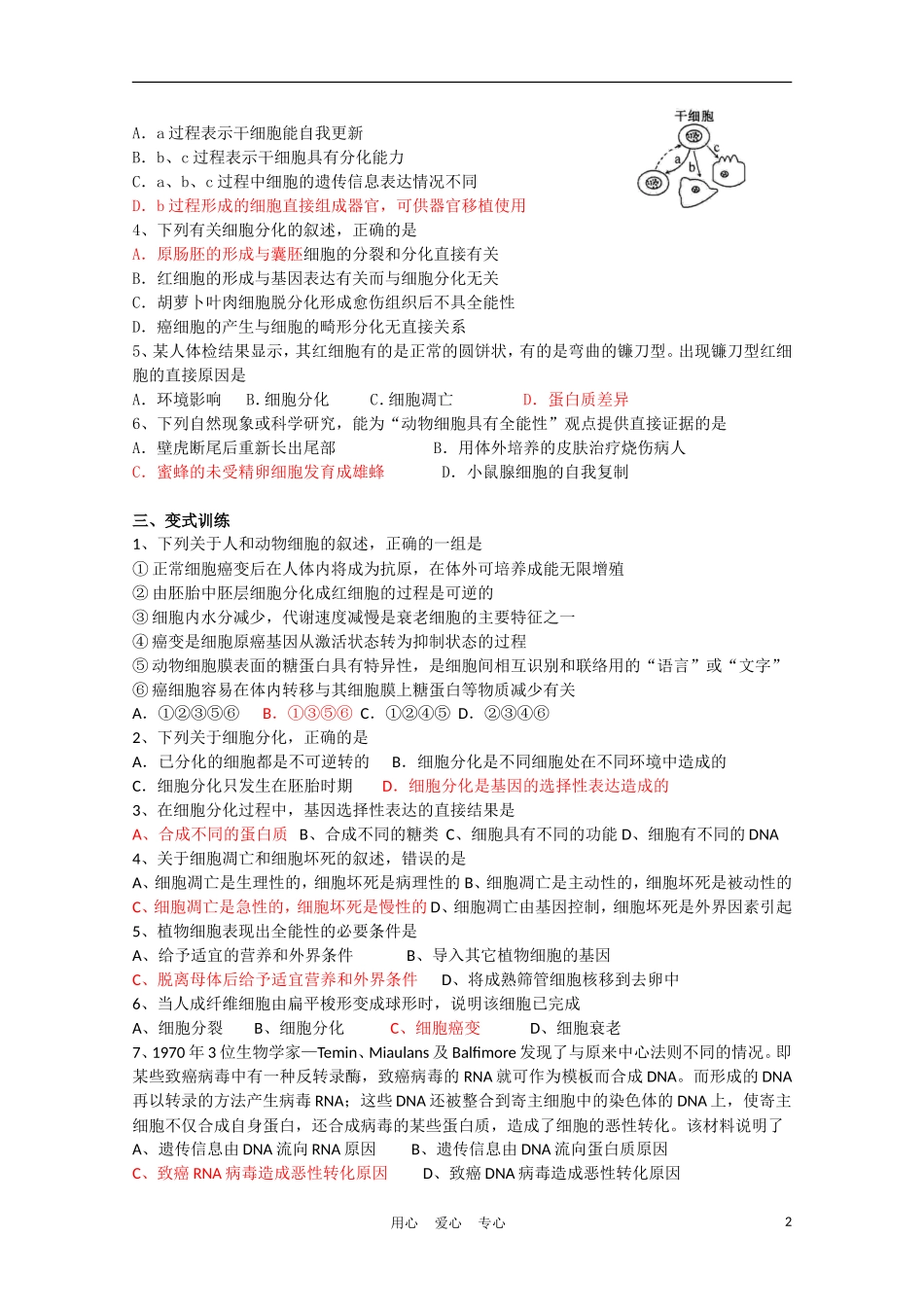 高中生物《细胞的分化》学案2 新人教版必修1_第2页