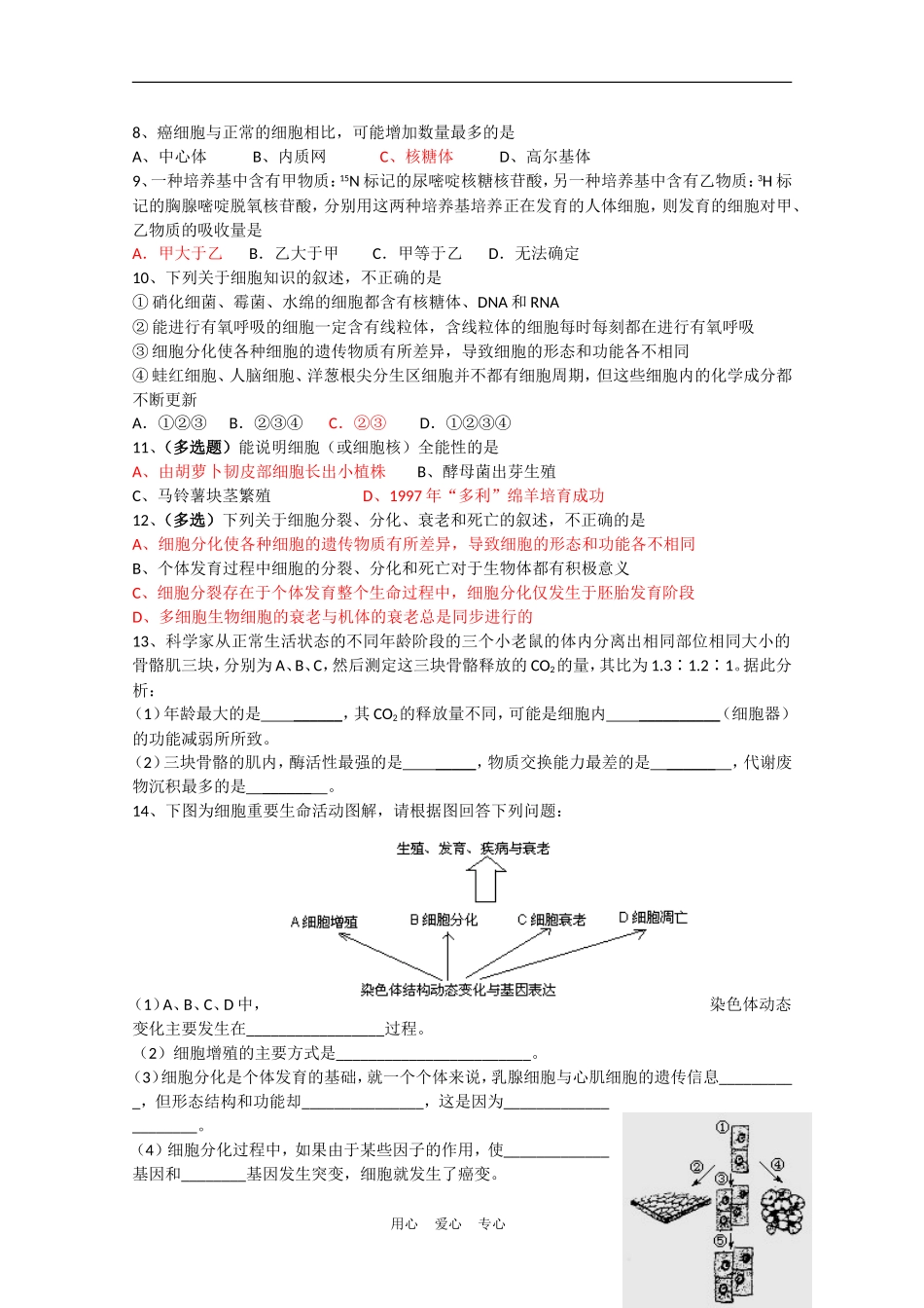 高中生物《细胞的分化》学案2 新人教版必修1_第3页