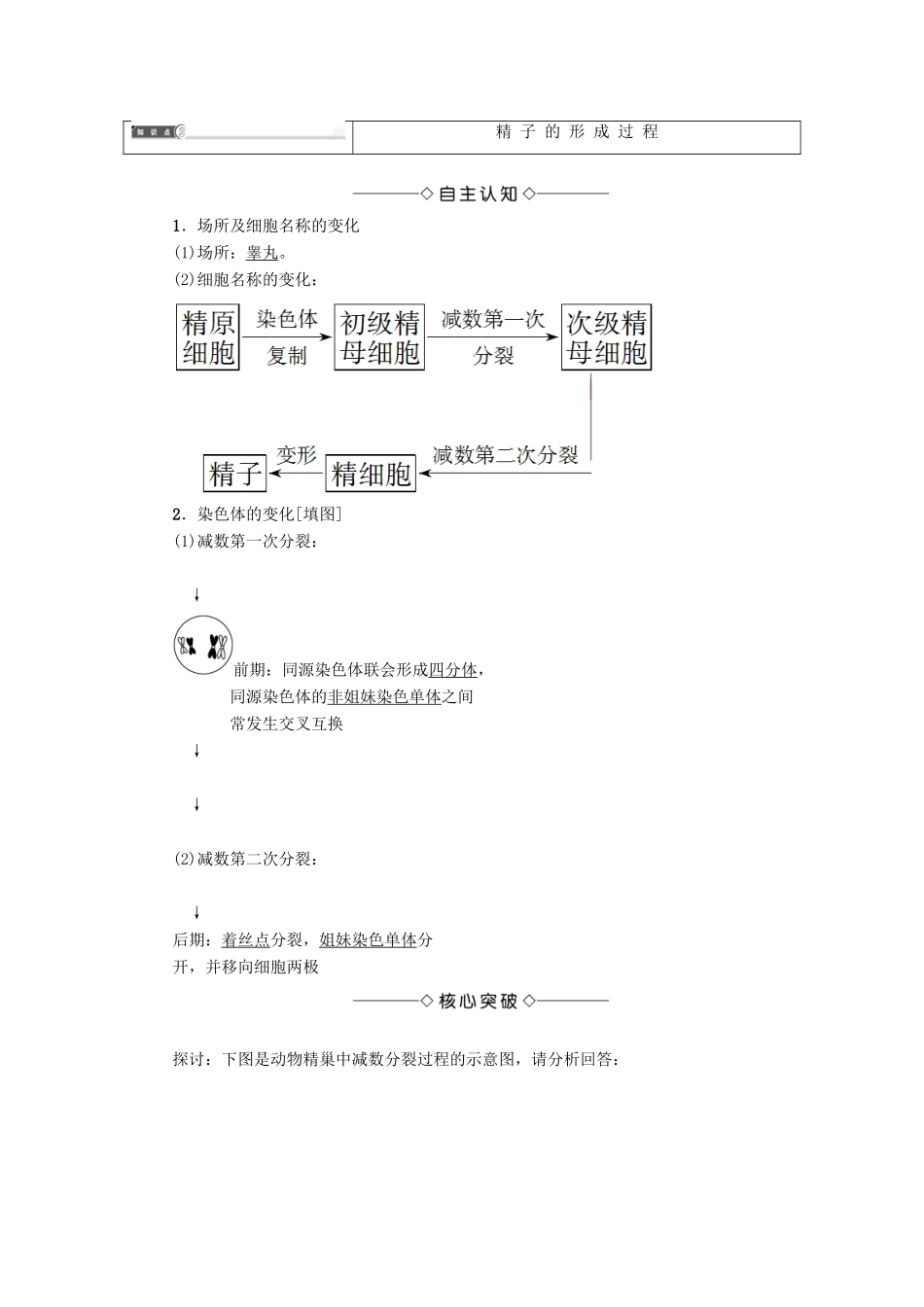 高中生物 第二章 基因和染色体的关系 第1节 减数分裂和受精作用（Ⅰ）学案 新人教版必修2-新人教版高一必修2生物学案_第3页