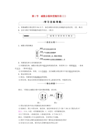 高中生物 第二章 基因和染色体的关系 第1节 减数分裂和受精作用（Ⅰ）学案 新人教版必修2-新人教版高一必修2生物学案