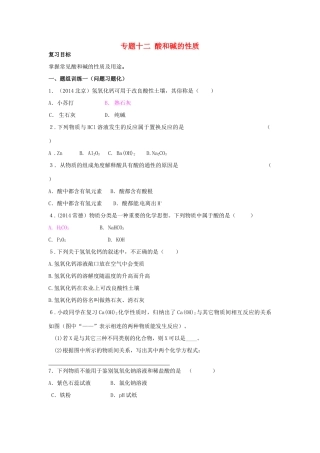 山西省阳泉市平定县中考化学 专题复习十二 酸和碱的性质导学案 新人教版-新人教版初中九年级全册化学学案