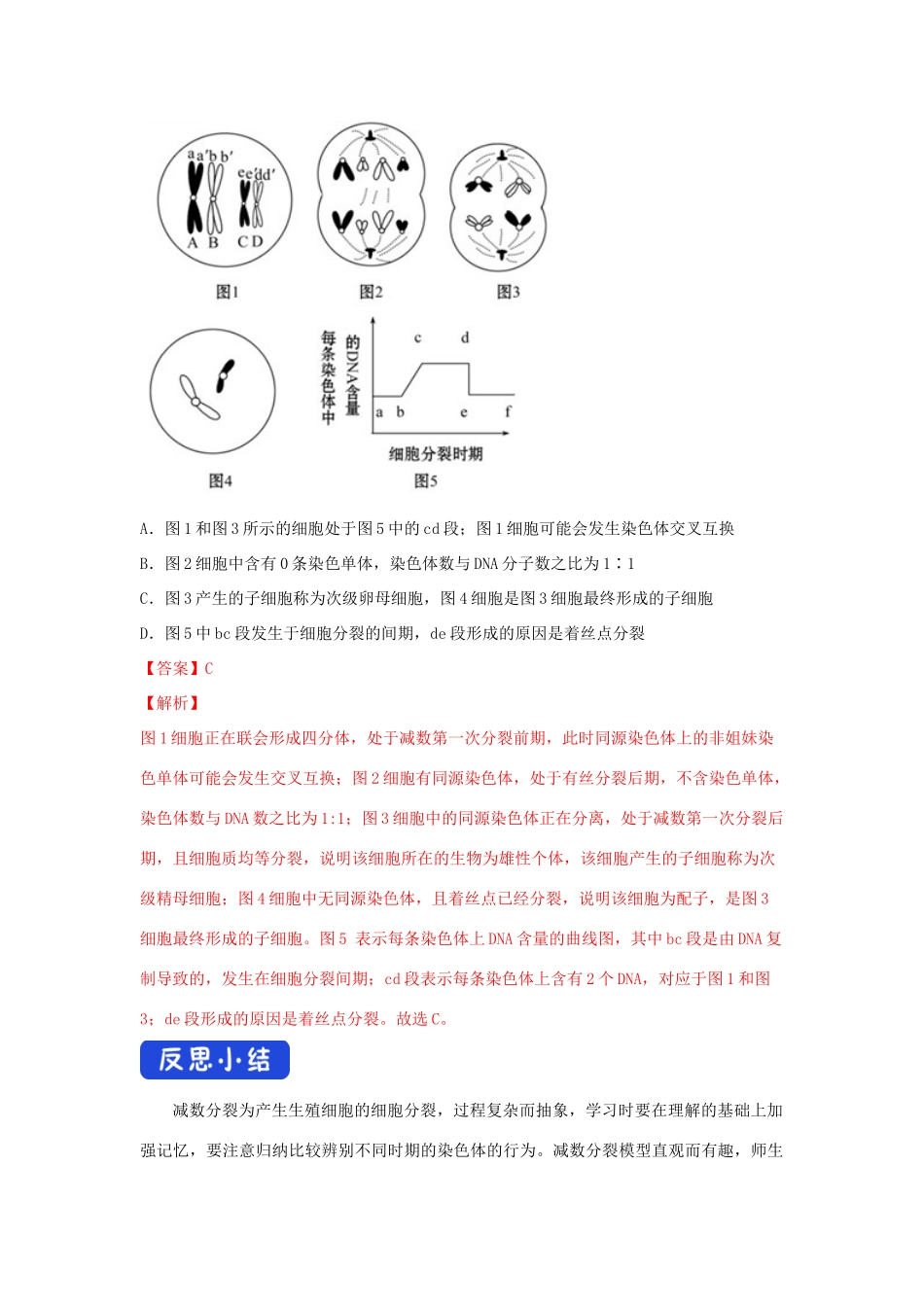 高中生物 第二章 染色体与遗传 第一节 染色体通过配子传递给子代学案（4）浙科版必修2-浙科版高一必修2生物学案_第3页