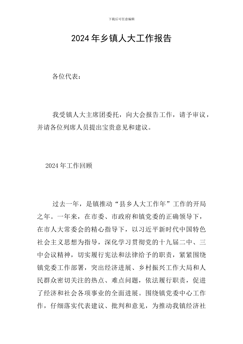 2024年乡镇人大工作报告_第1页