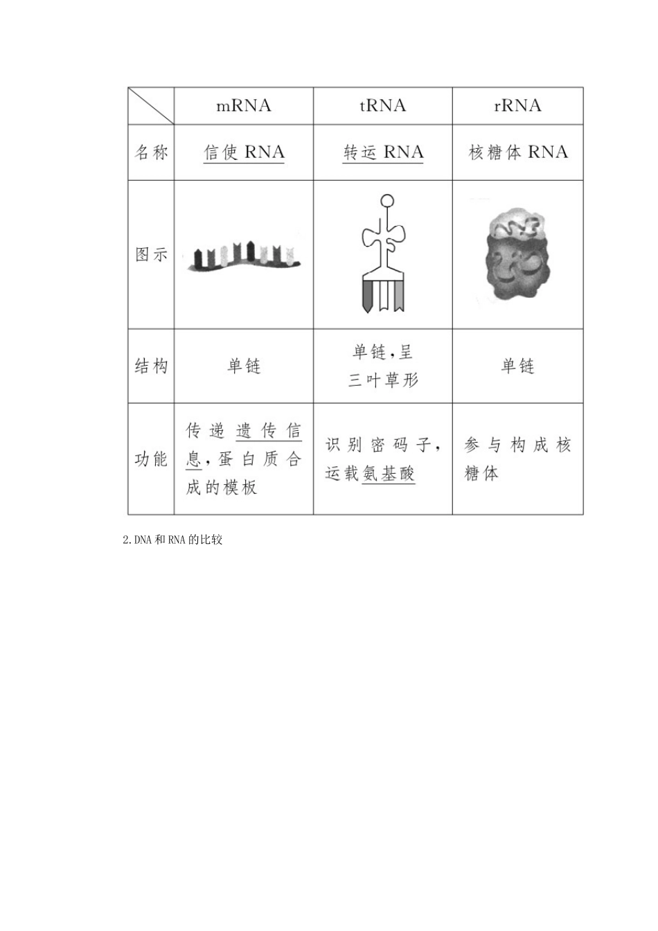 高中生物 第四章 基因的表达 1 基因指导蛋白质的合成学案 新人教版必修2-新人教版高一必修2生物学案_第2页