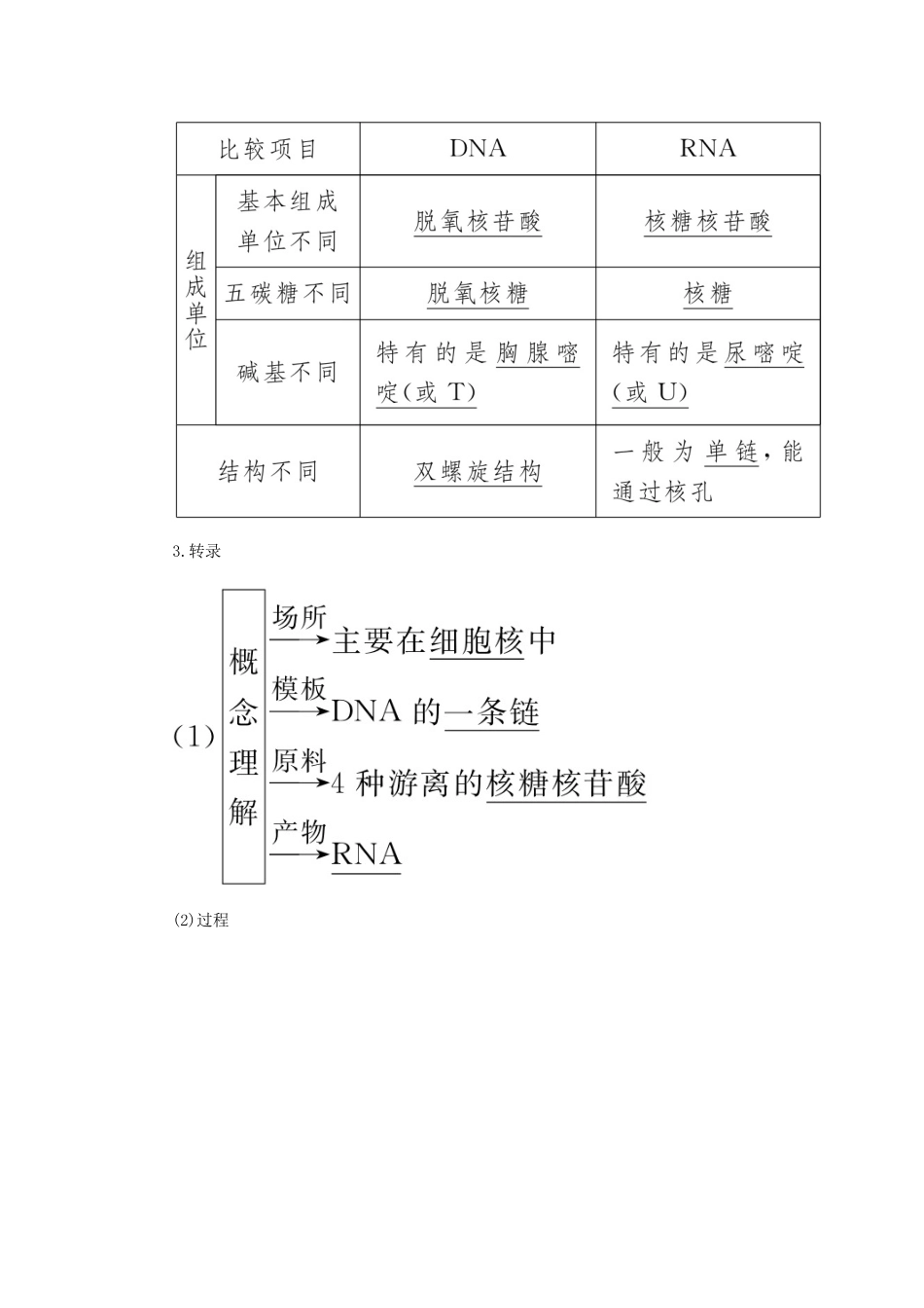 高中生物 第四章 基因的表达 1 基因指导蛋白质的合成学案 新人教版必修2-新人教版高一必修2生物学案_第3页