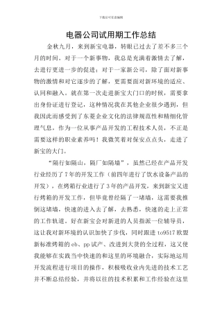 电器公司试用期工作总结