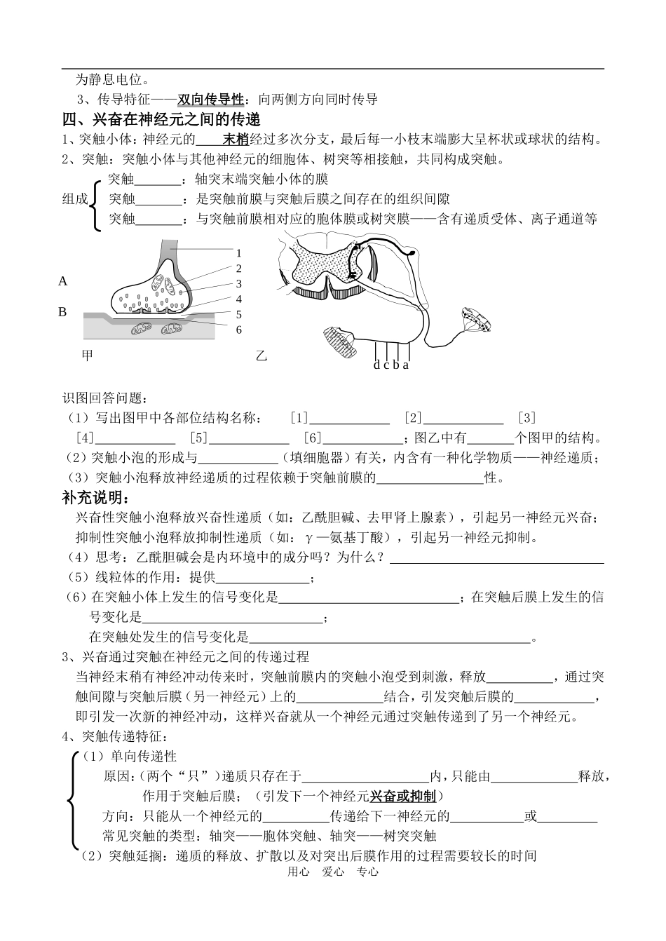 高中生物选修班《第2章第1节通过神经系统的调节》的教学案人教版必修3_第3页