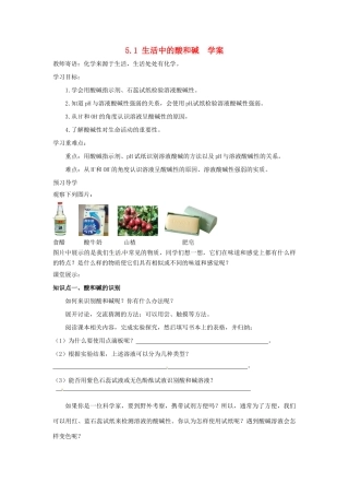 九年级化学 5.1《生活中的酸和碱》学案（无答案） 鲁教版