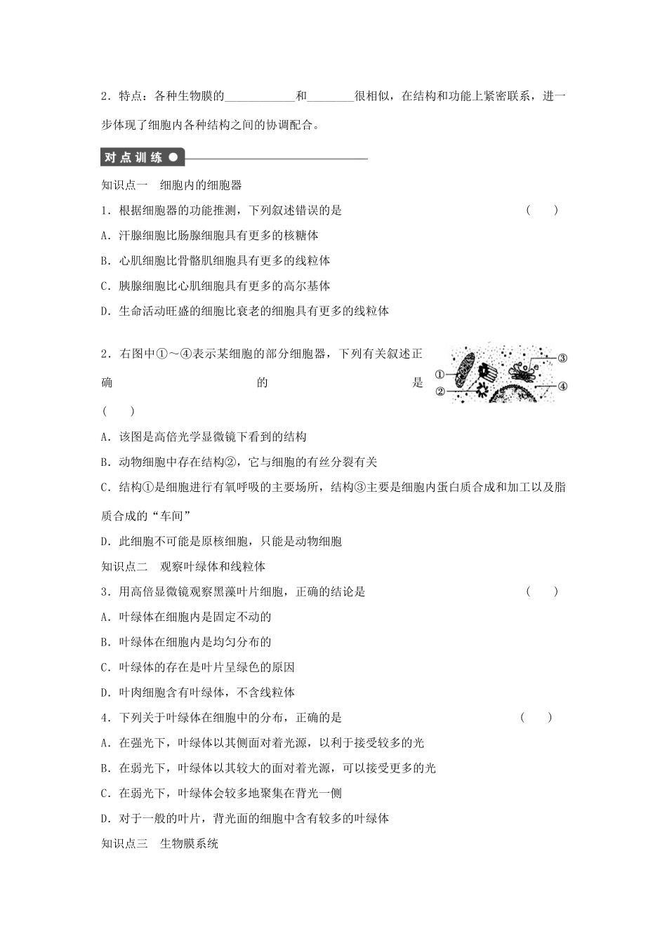 高中生物 第三章 细胞的基本结构 第10课时 细胞器 系统内的分工合作课时作业 新人教版必修1-新人教版高一必修1生物学案_第2页