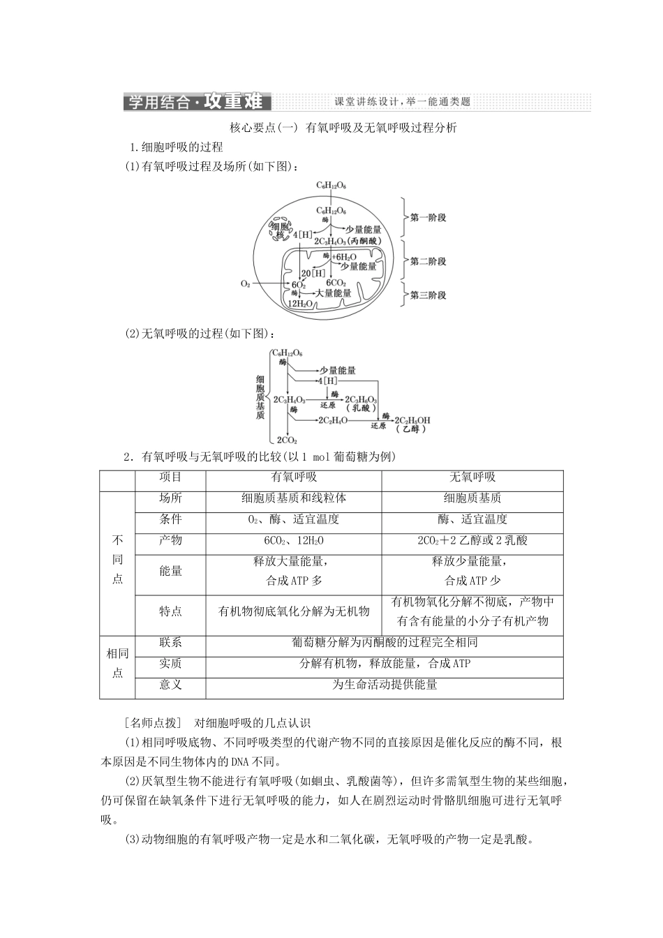 高中生物 第四章 第三节 第1课时 细胞呼吸产生能量及细胞呼吸的过程学案（含解析）苏教版必修1-苏教版高中必修1生物学案_第3页