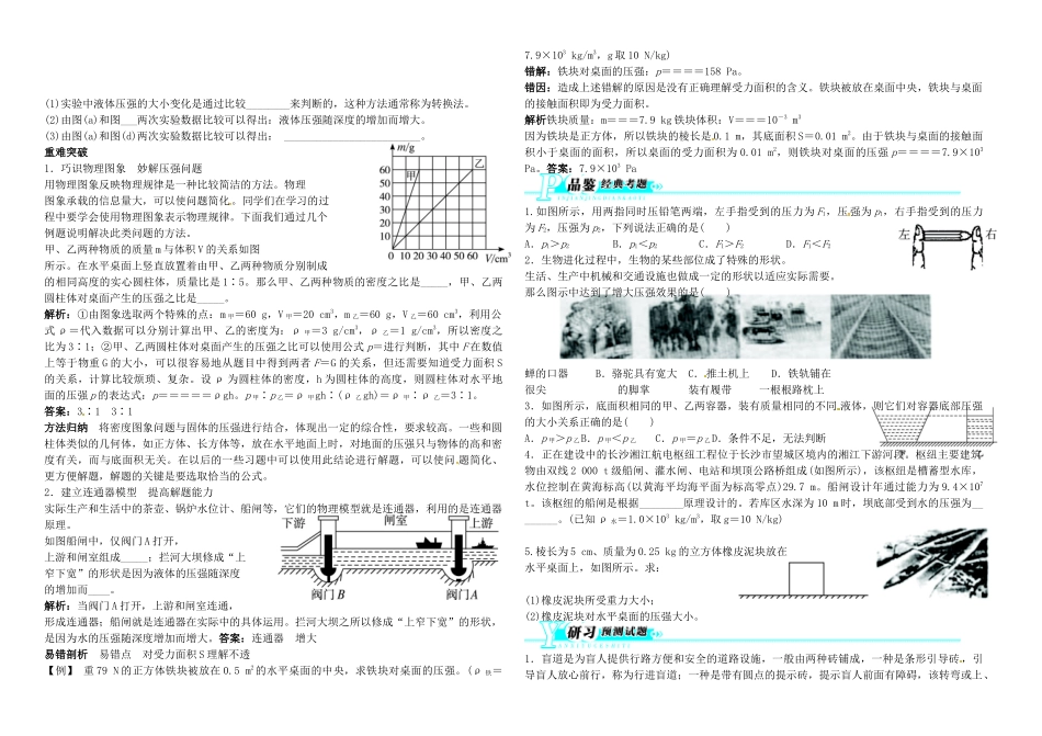 中考物理 第24讲 压强 液体压强化复习学案-人教版初中九年级全册物理学案_第2页