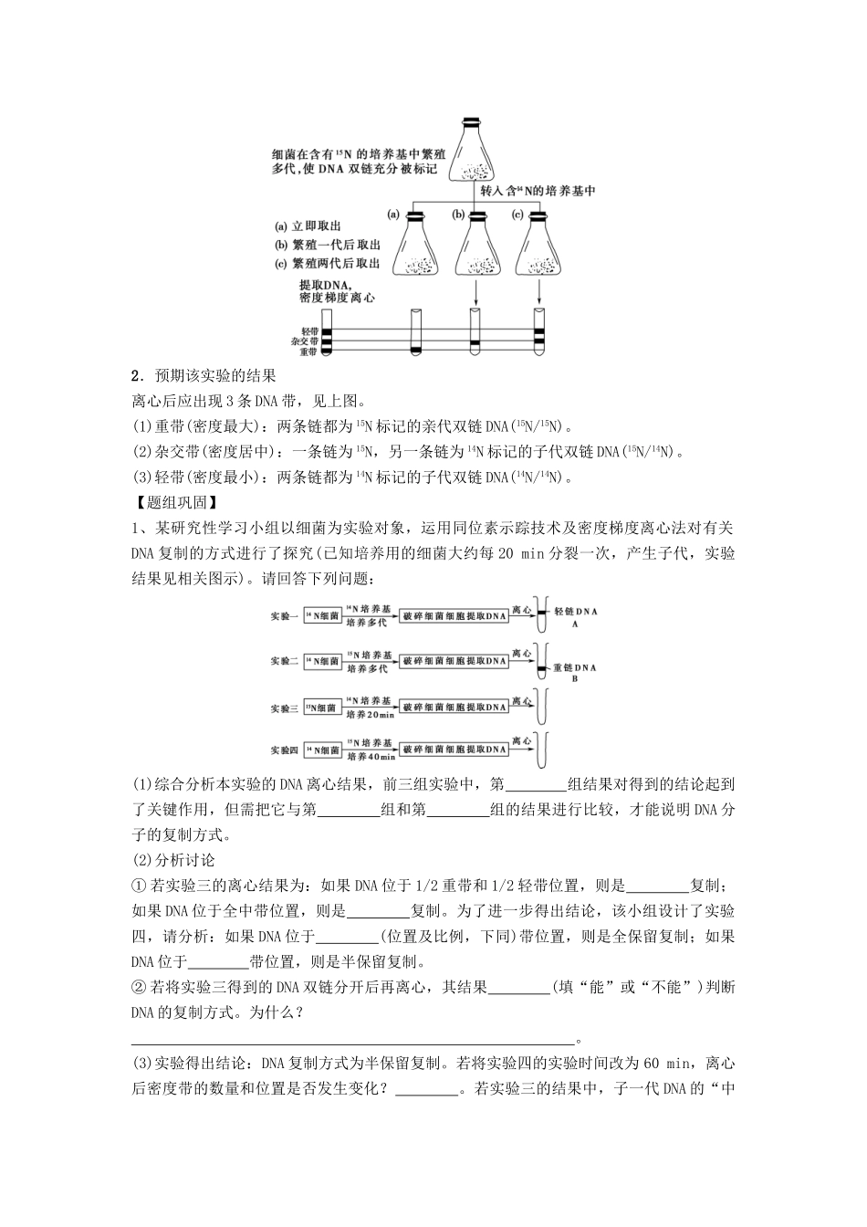 高中生物 第三章 遗传的分子基础 3.3 遗传信息的传递导学案 浙科版必修2-浙科版高一必修2生物学案_第2页
