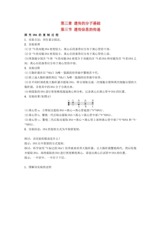 高中生物 第三章 遗传的分子基础 3.3 遗传信息的传递导学案 浙科版必修2-浙科版高一必修2生物学案