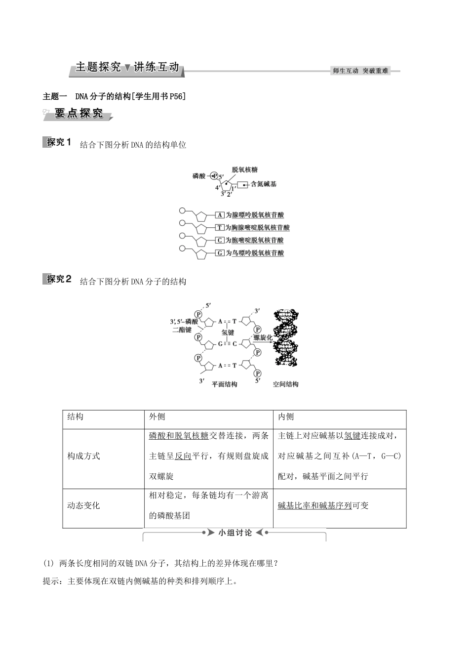 高中生物 第三章 基因的本质 第2节 DNA分子的结构导学案 新人教版必修2-新人教版高一必修2生物学案_第3页