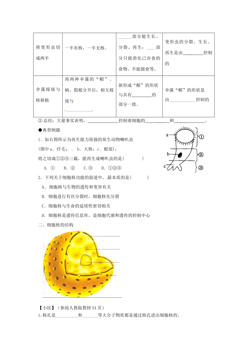 高中生物 第三章 细胞的基本结构 3.3 细胞核-系统的控制中心学案2 新人教版必修1-新人教版高一必修1生物学案_第2页