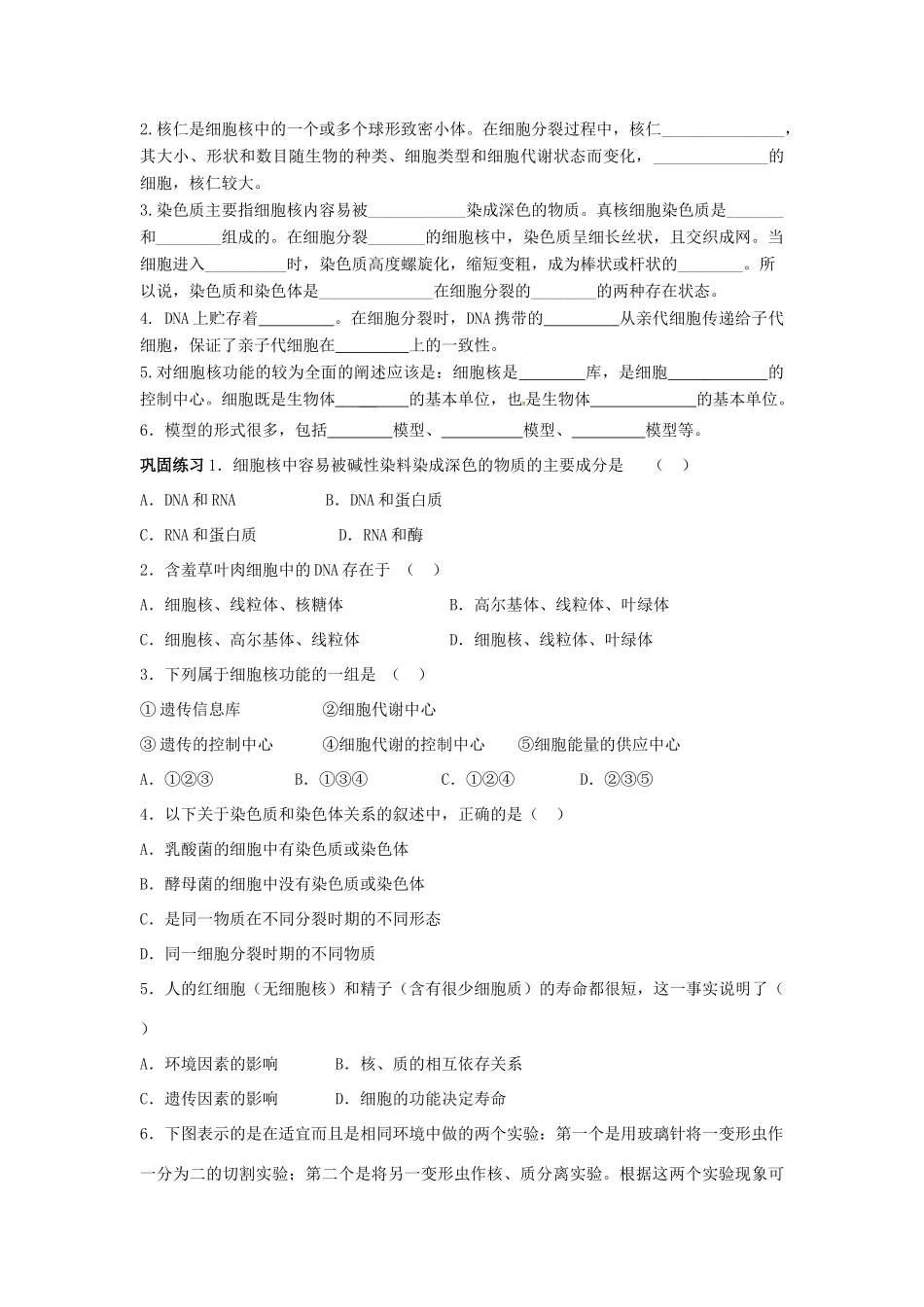 高中生物 第三章 细胞的基本结构 3.3 细胞核-系统的控制中心学案2 新人教版必修1-新人教版高一必修1生物学案_第3页