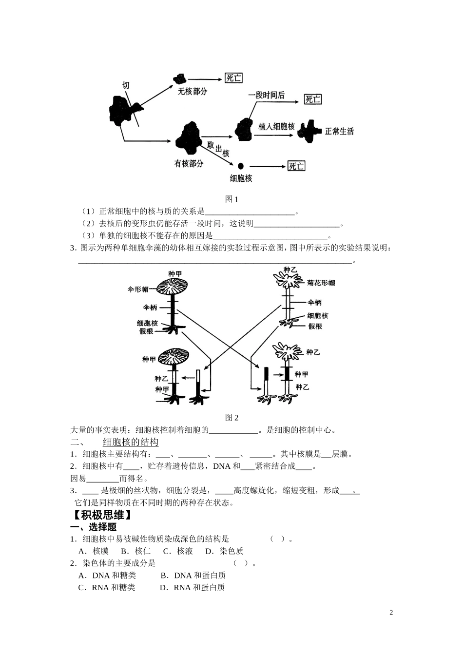 高中生物《细胞核》学案1 浙教版必修1_第2页
