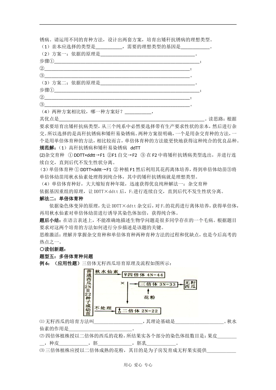 高中生物：3.3 染色体变异及其应用 学案（5）（苏教版必修2）_第2页