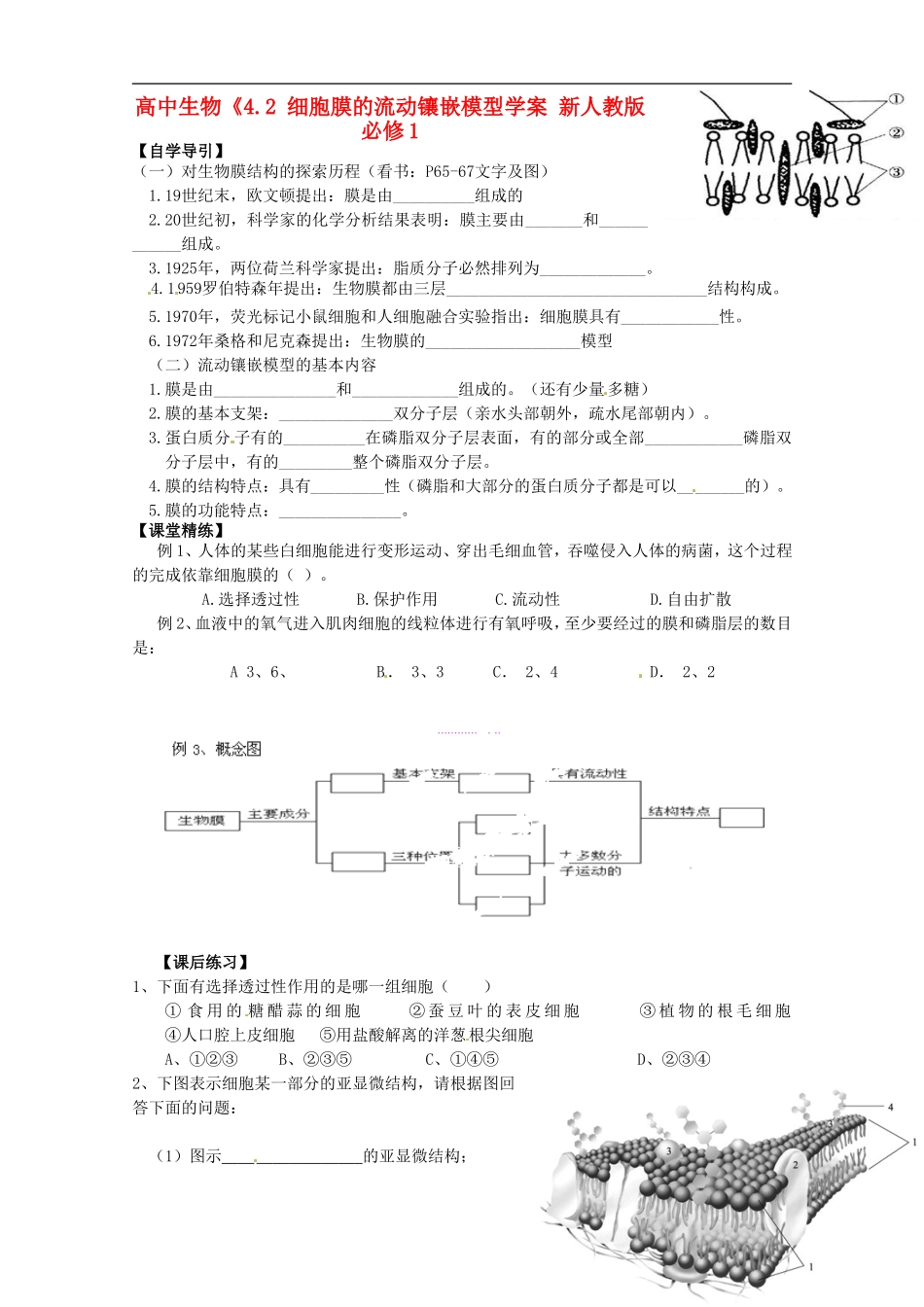高中生物《4.2 细胞膜的流动镶嵌模型学案 新人教版必修1_第1页