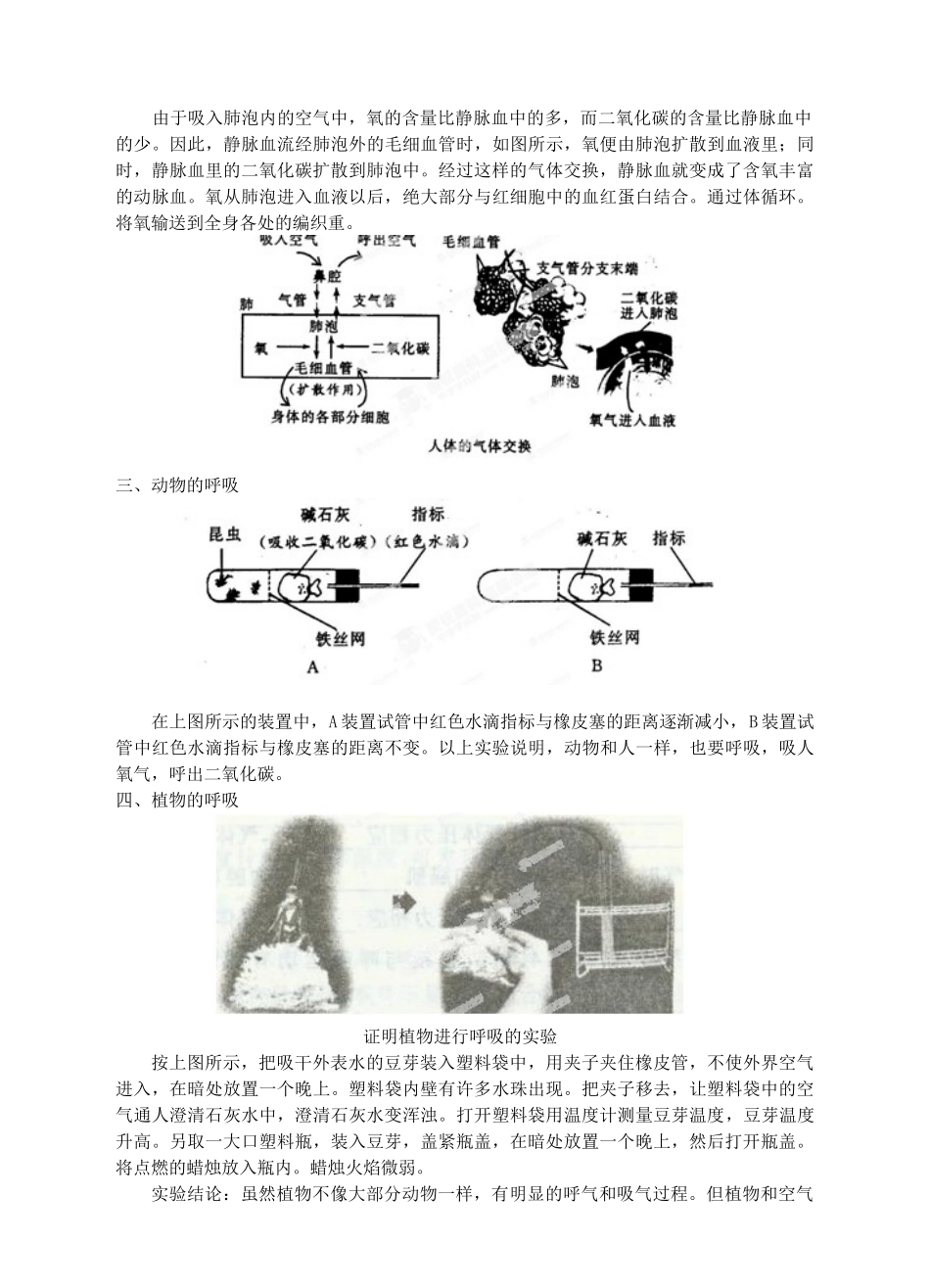 浙江省临海市新概念教育咨询有限公司八年级科学下册 第二章《《第4节 生物是怎样呼吸的》学案 浙教版_第3页