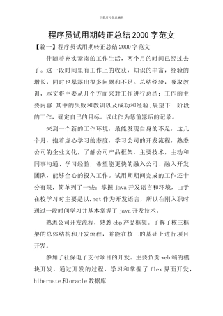 程序员试用期转正总结2000字范文