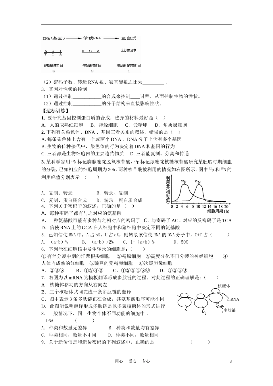高中生物《基因的表达》学案3 中图版必修2_第3页