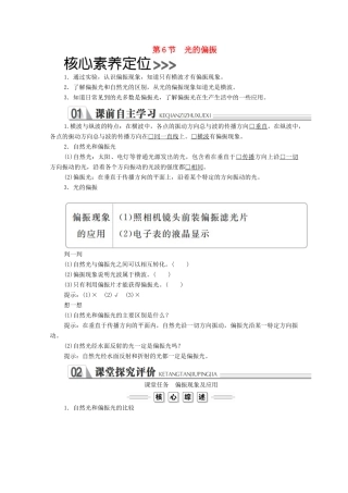 高中物理 第十三章 光 第6节 光的偏振学案 新人教版选修3-4-新人教版高中选修3-4物理学案
