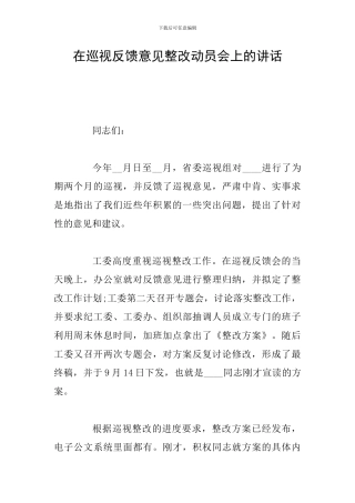 在巡视反馈意见整改动员会上的讲话