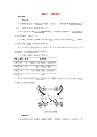 高中生物 知识梳理 第二单元 第一章 第四节 伴性遗传学案（含解析）中图版必修2-中图版高中必修2生物学案