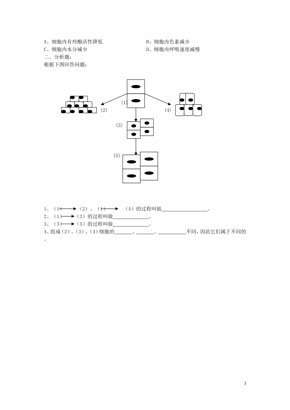 高中生物《细胞分化、衰老和凋亡》学案6 苏教版必修1_第3页