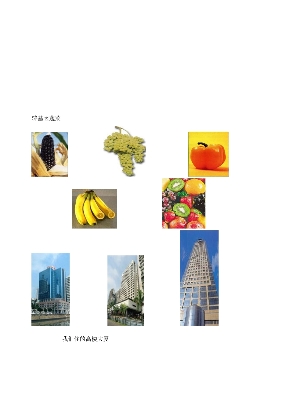 八年级政治下册 现代科技在身边学案 鲁教版_第3页