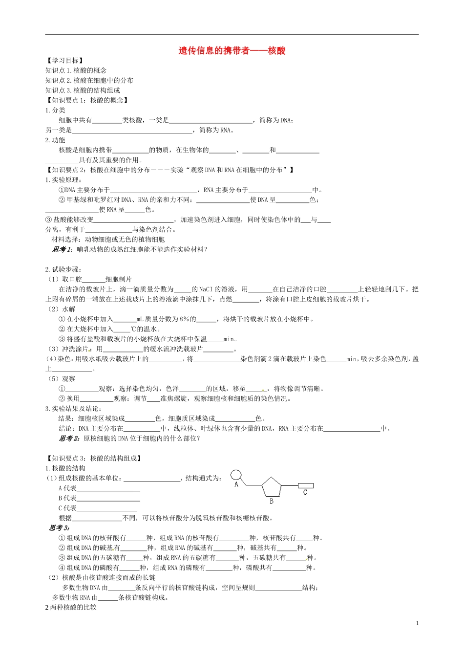 高中生物《2.3 遗传信息的携带者 核酸》学案 新人教版必修1-新人教版高一必修1生物学案_第1页