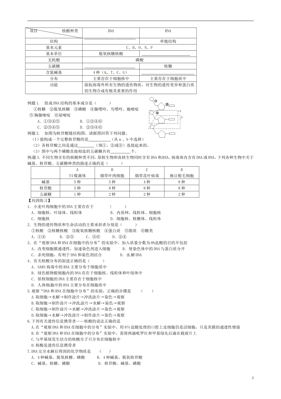 高中生物《2.3 遗传信息的携带者 核酸》学案 新人教版必修1-新人教版高一必修1生物学案_第2页