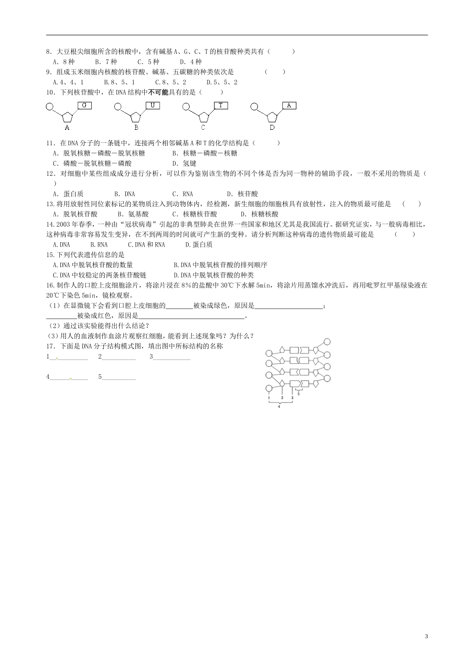 高中生物《2.3 遗传信息的携带者 核酸》学案 新人教版必修1-新人教版高一必修1生物学案_第3页