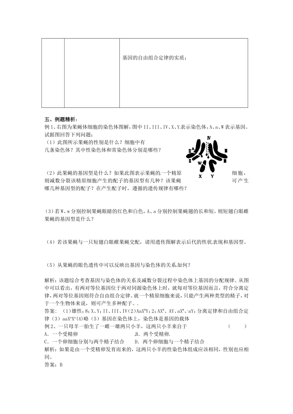 高中生物学案：认识基因中图版必修2_第3页