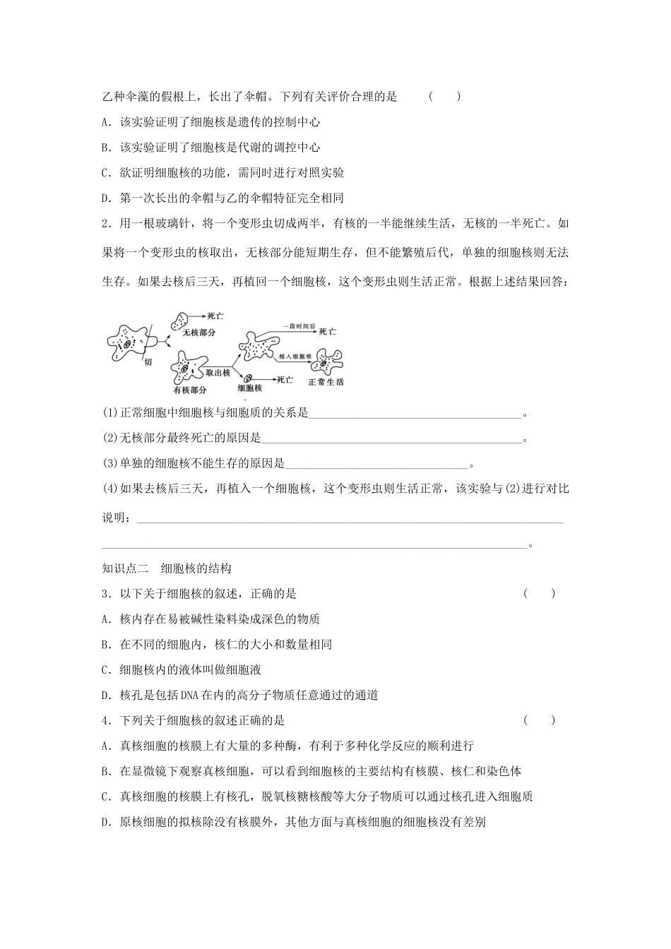 高中生物 第三章 细胞的基本结构 第11课时 细胞核 系统的控制中心课时作业 新人教版必修1-新人教版高一必修1生物学案_第2页