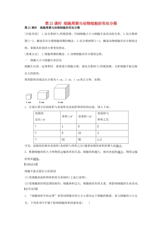 高中生物 第五章 第21课时 细胞周期与动物细胞的有丝分裂课时作业 苏教版必修1-苏教版高一必修1生物学案