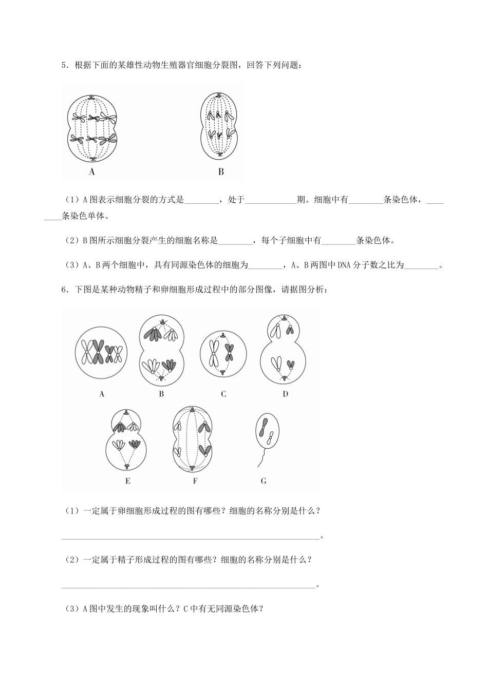 高中生物 第三章 遗传信息在亲子代之间传递 第二节 减数分裂与配子形成学案 北师大版必修2-北师大版高一必修2生物学案_第3页