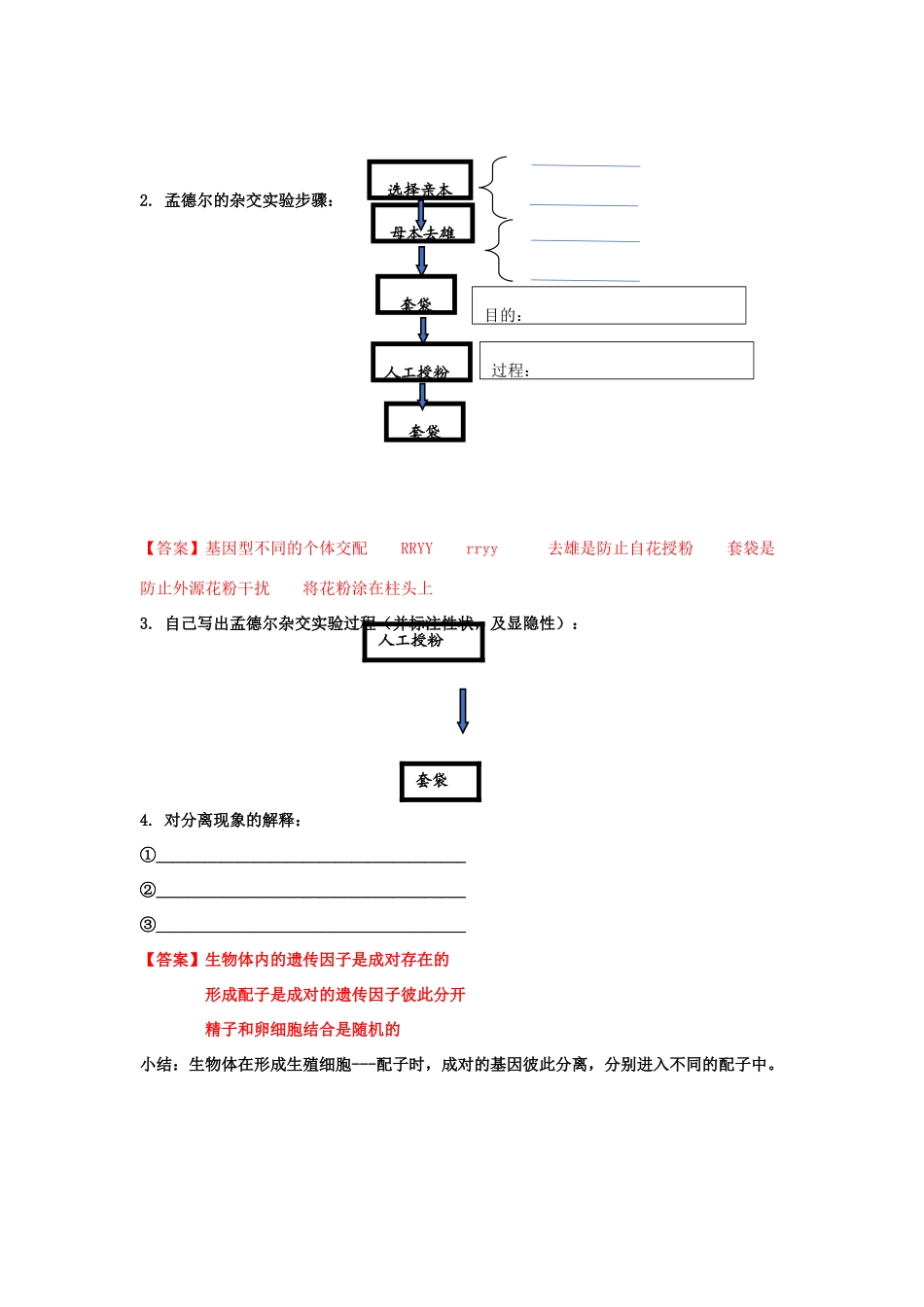 高中生物 第一章 孟德尔定律 第一节 孟德尔从一对相对性状的杂交实验中总结出分离定律学案（3）浙科版必修2-浙科版高一必修2生物学案_第2页