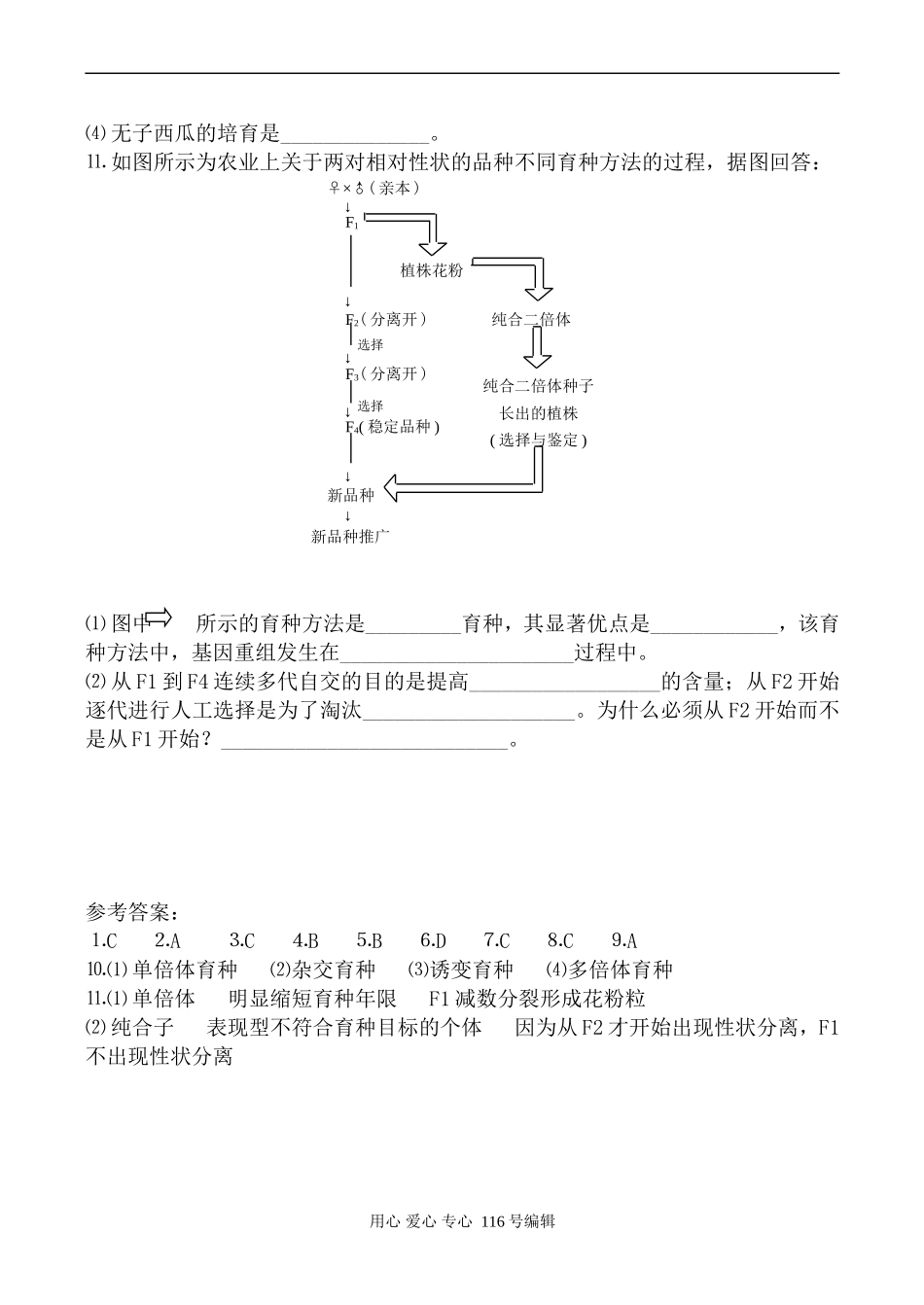 高中生物人教版必修2杂交育种与诱变育种 学案_第3页