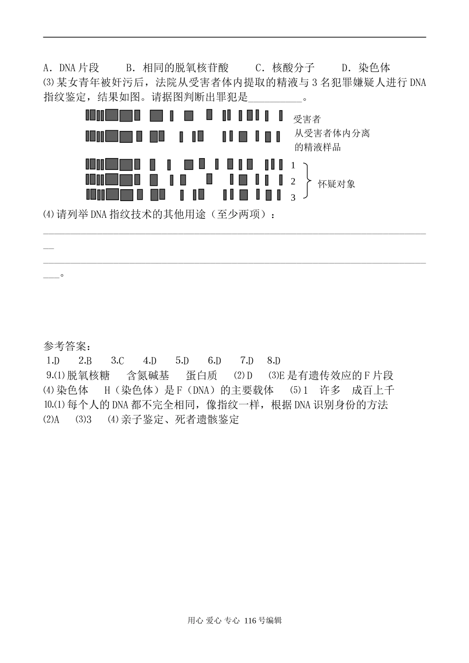 高中生物人教版必修2基因是有遗传效应的DNA片段 学案_第3页