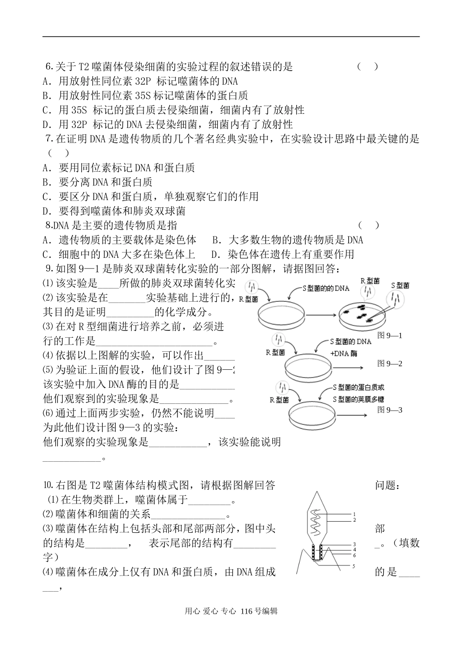 高中生物人教版必修2DNA是主要的遗传物质 学案_第3页